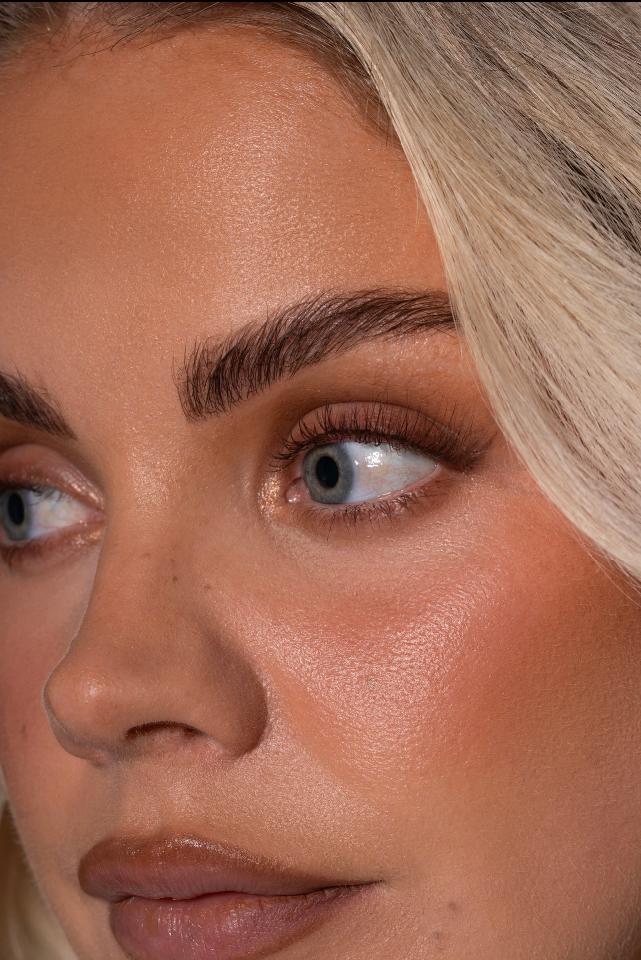 IL3 - Brown Individual Lash Collection.